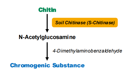 土壤几丁质酶活性检测试剂盒