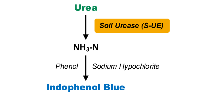土壤脲酶活性检测试剂盒